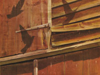 Nests in the Barn