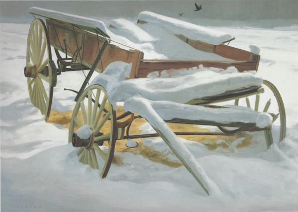 New Fallen Snow