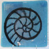 Snail Shell