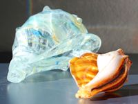 Two Shells