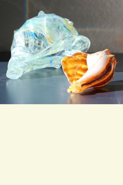 Aqua Shell