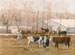 Kingwood Cattle Farm