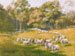 Kingwood Farm Flock