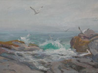 Gulls Coming In
