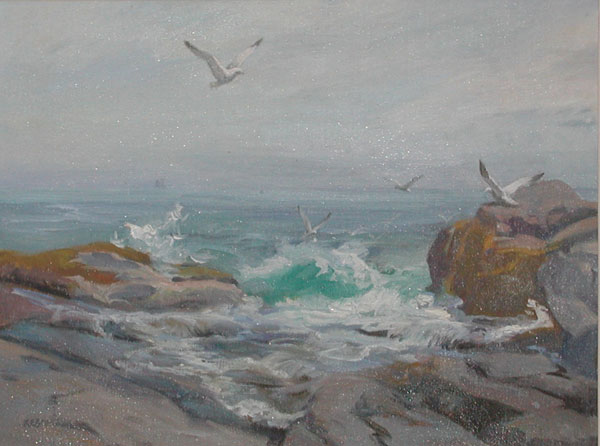 Gulls Coming In