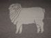 Ram Rug